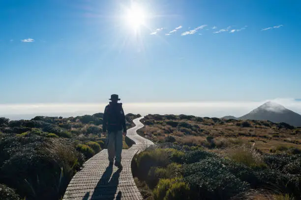 Photo of Backlit image of a backpacker hiking Pouakai circuit on boardwalk, Sun starburst shiniing on the blue sky. Egmont National park.