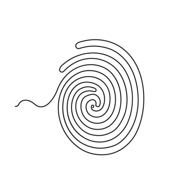 unikalna ikona wektora odcisku palca lub odcisku palca izolowana - fingerprint thumbprint human finger track stock illustrations