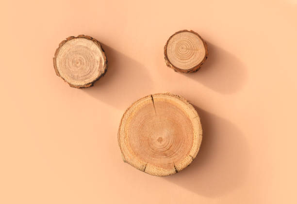 istock Three woodcut disks lying on a trendy beige background 1398056900