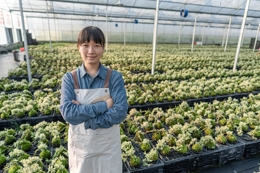 An Asian agricultural worker stood by the nursery with firm eyes and hands