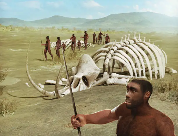 A tribe of human ancestors, Homo Erectus, wanders through the savannah past mammoth skeletons, 3d render.