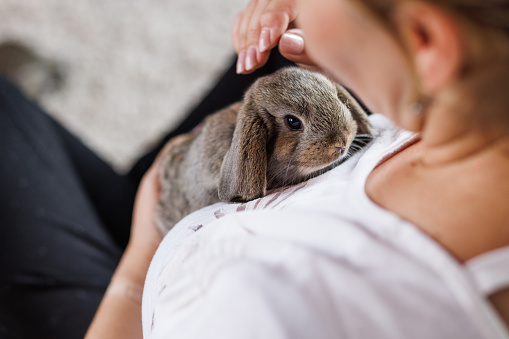The woman caresses the bunny, over the shoulder view.