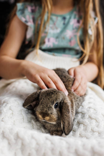 Little girl with her bunny stock photo