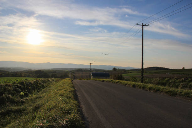istock Road through rural areas at dusk 1398061796