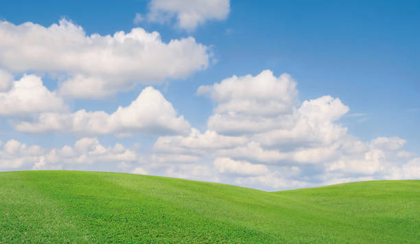 istock Landscape green lawn grass 1398063884