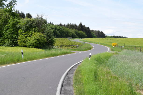 istock narrow road at a Christmas tree plantation 1398070578