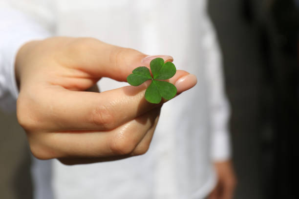 istock Woman holding green clover leaf, closeup view 1398075560