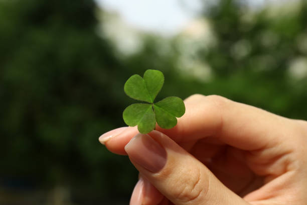 istock Woman holding green clover leaf outdoors, closeup 1398075572
