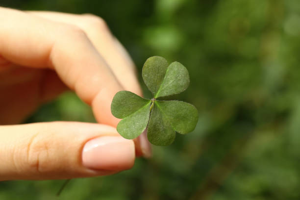 istock Woman holding green clover leaf outdoors, closeup 1398075586