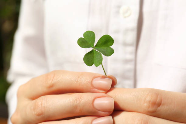 istock Woman holding green clover leaf, closeup view 1398075606