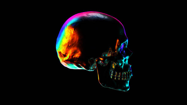 metallic human skull with colorful reflections 3d render - end of the rainbow imagens e fotografias de stock