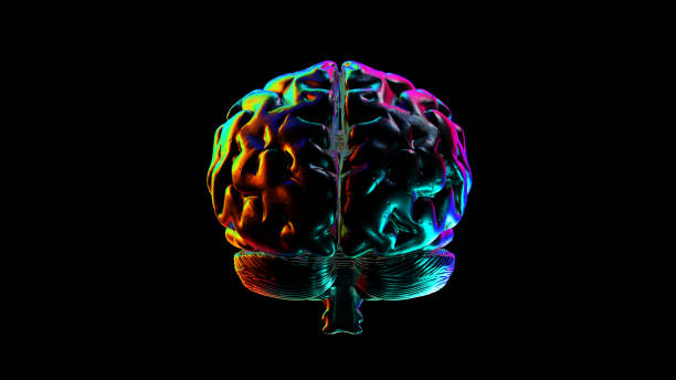 cervello umano astratto con riflessi arcobaleno animazione in loop - art brain contemplation cyborg foto e immagini stock