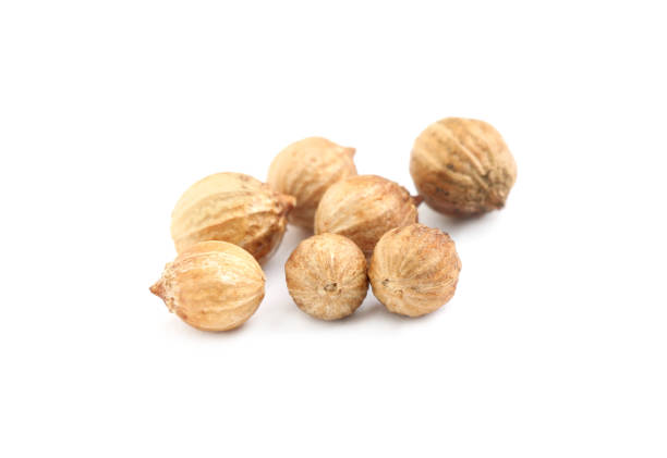 istock Scattered dried coriander seeds on white background, closeup 1398078684