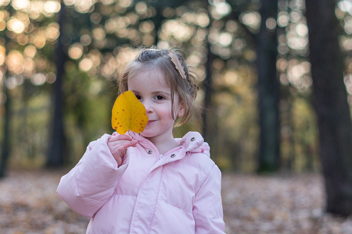 Little girl holding autumn leaf in front of her face in public park