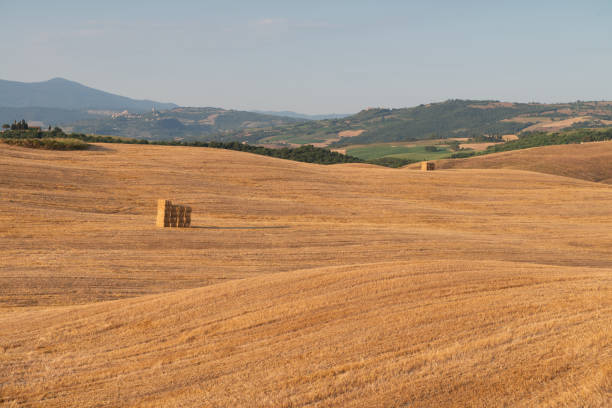 The Tuscan countryside with the hay bales after the harvest.