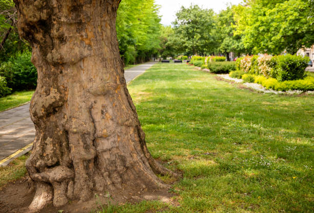 istock Fresh green city landscape 1398081768