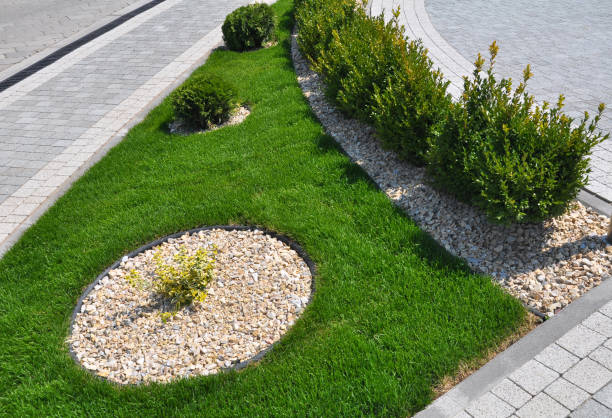 istock Design of landscaping in the garden, park, square, recreation area 1398082607