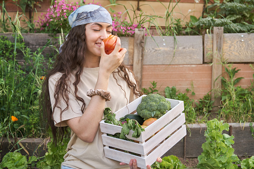 Young female farmer smiling and smelling a tomato from a vegetable wood box. Urban garden volunteer.