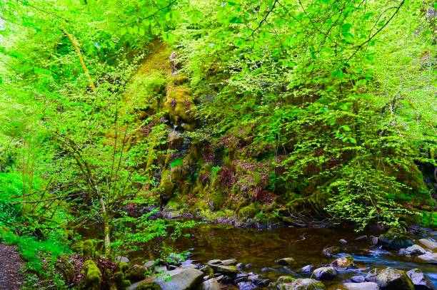 istock Birk’s of Aberfeldy 1398084582