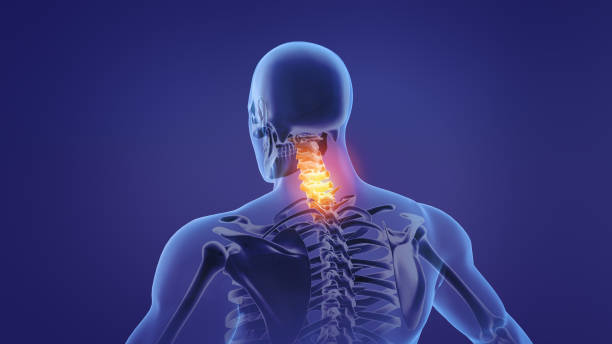 405 Spinal Cord Animation Pictures Stock Photos, Pictures & Royalty-Free Images - iStock 405 Spinal Cord Animation Pictures Stock Photos, Pictures & Royalty-Free Images - iStock