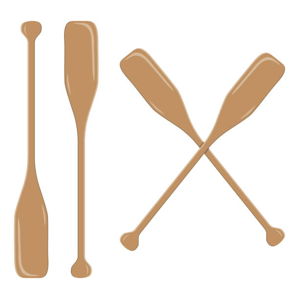 istock Wooden boat oars, color isolated vector illustration on white background 1398087824