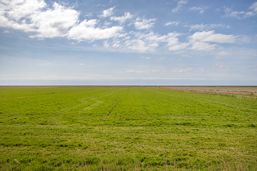 Fields on clear day of spring in a flat landscape on the Danish peninsular Jutland