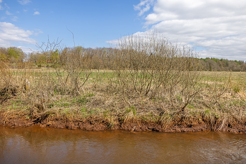 Small creek in a rural landscape in the center of Jutland, the name of the creek is Døvling Bæk and the color indicates ocher pollution which is quite common in Danish creeks. Ocher is a kind of iron.