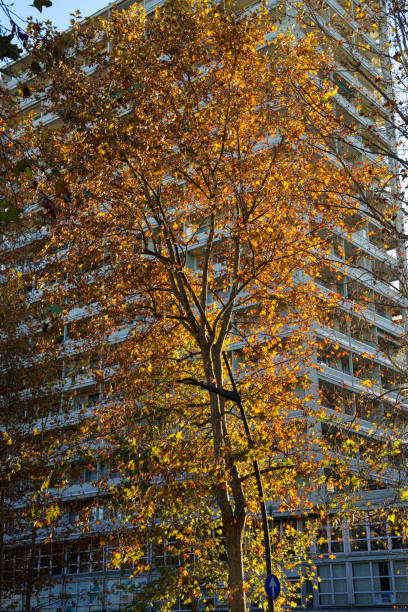 istock Milan: modern buildings along corso Sempione 1398090188