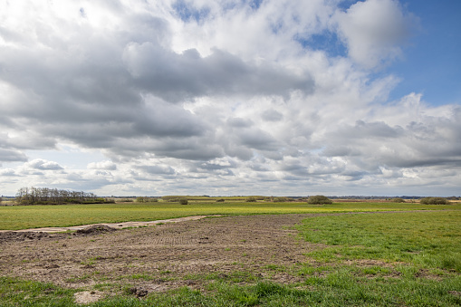 Fields on clear day of spring in a flat landscape on the Danish peninsular Jutland