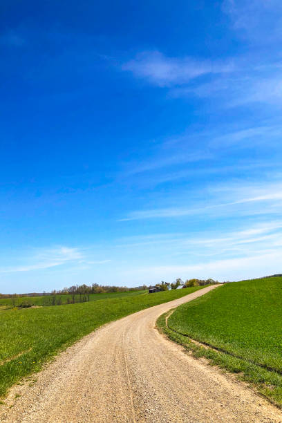 Open space on a gravel country road.  Green farm ground surrounds the road as it winds off into the distance.  It is a clear blue sky day.  The dirt/gravel road has copy space.  There is a distant farm in the background.  Peaceful scene.