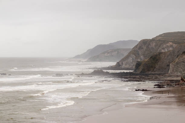 sopelana beach on the basque coast a cloudy winter day