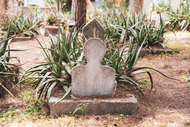 Tombstone with agave leaves  in an church graveyard Blank creepy tombstone with agave leaves  in an ancient church graveyard. Agave leaves crawl out of the grave like ghost tentacles grave digger stock pictures, royalty-free photos & images
