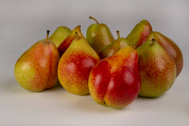 Forelle Pears Forelle Pears on a light background forelle pear stock pictures, royalty-free photos & images