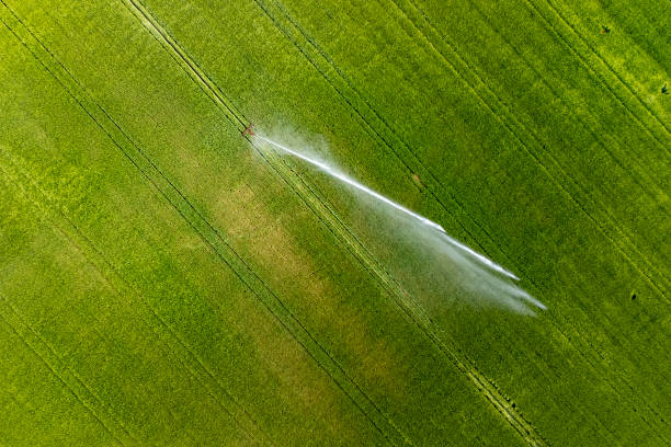 istock Agricultural sprinkler - irrigation area, aerial view 1398095807