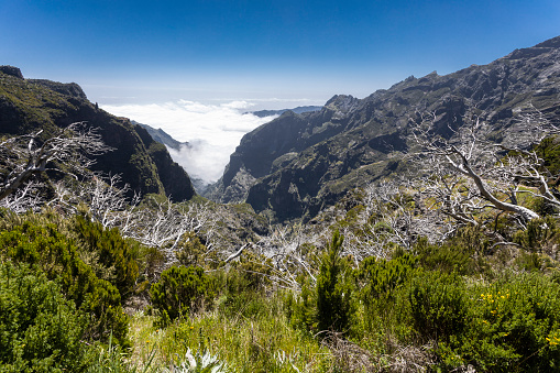 The beautiful hiking trail from Pico do Arieiro to Pico Ruivo in Madeira Island, Portugal.