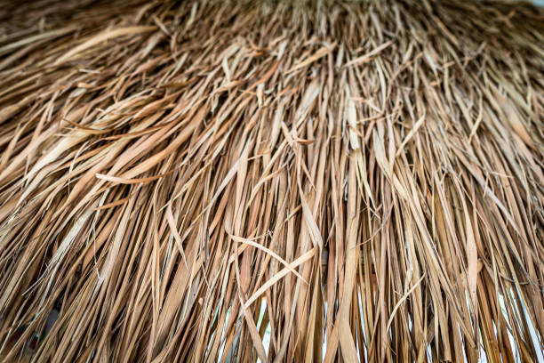 istock Close Up View of Thatched Roof 1398096451