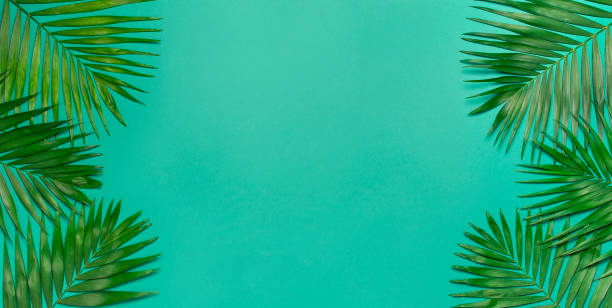 istock Tropical palm leaves on blue emerald background. Flat lay, top view, copy space. Summer background, nature. Creative minimal background with tropical leaves. Leaf pattern 1398096480