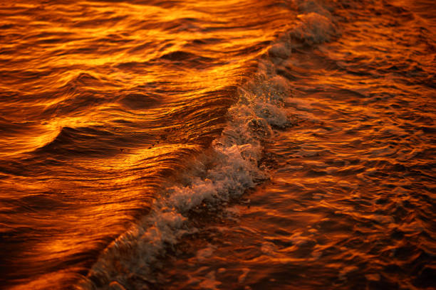 Beautiful golden sunset reflecting  on the sea waves