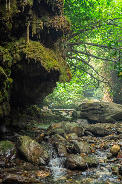 istock Impressive forest and river view in Kaz Mountains National Park. Crying waterfall (Aglayan Selale). 1398098354