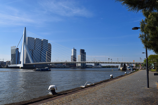 Erasmus bridge over the river Meuse in Rotterdam