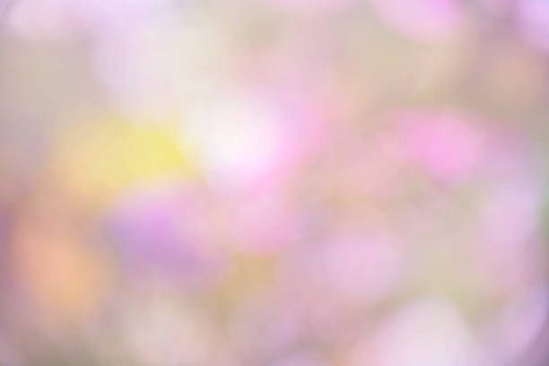 istock Defocused bokeh in sweet color blurred background 1398103859