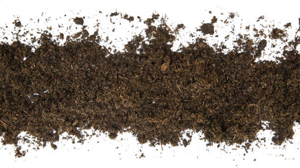 istock top view a pile of peat moss or soil for plants. 1398105271