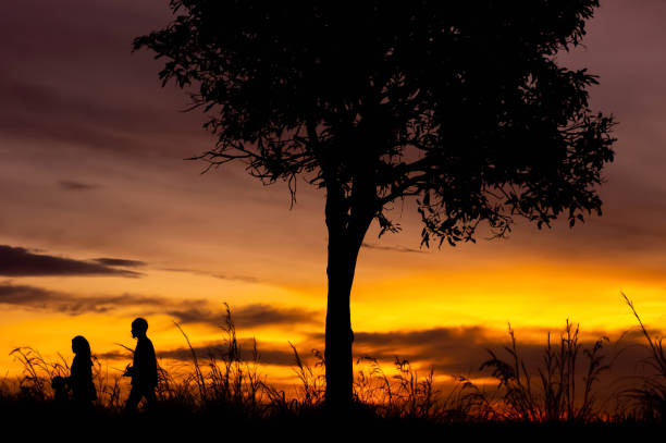 istock Iconic Tree Couple Family Enjoy Sunset 1398105950