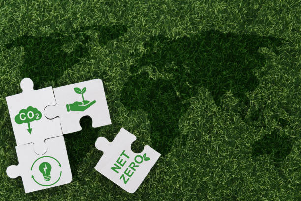 istock Jigsaw on the lawn with the word netzero 1398106312