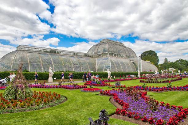 кью гарденс, англия - palm house стоковые фото и изображения