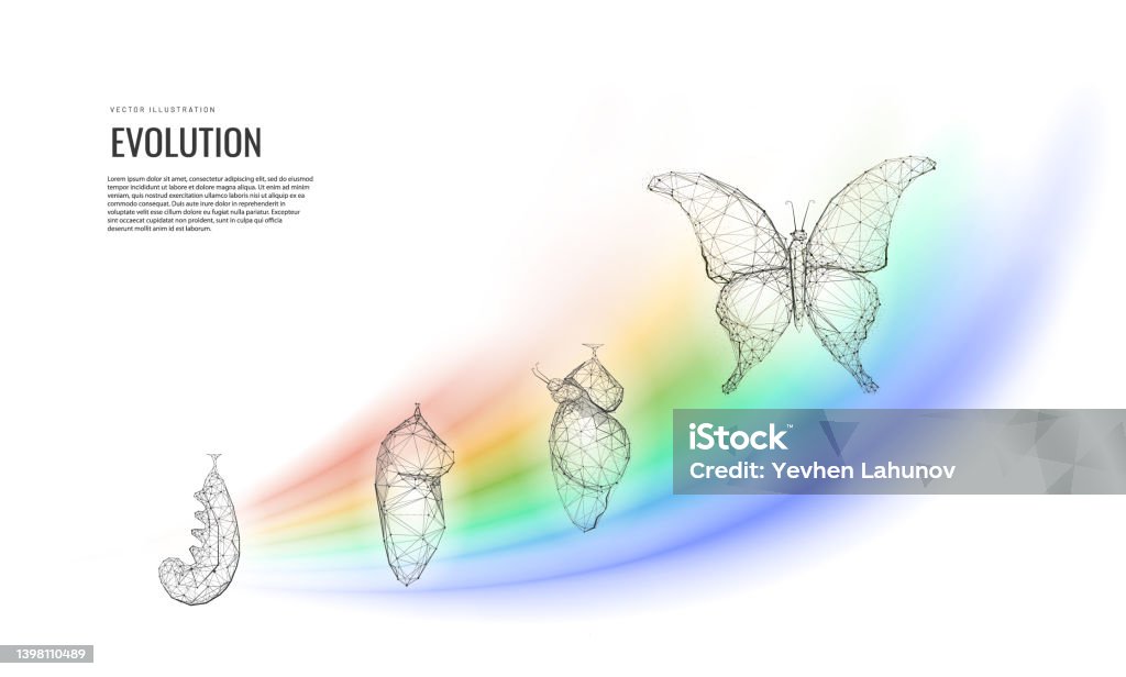 M tamorphose De La Transformation Ou De L volution La Naissance Dun m-tamorphose-de-la-transformation-ou-de-l-volution-la-naissance-dun