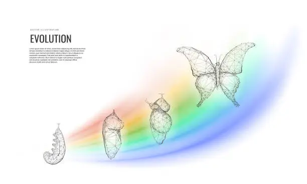 Vector illustration of Metamorphosis of transformation or evolution. The birth of a butterfly from a caterpillar the cycle of life. Vector illustration