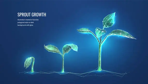 Vector illustration of Seedling growth in a futuristic polygonal style. Green business development concept. Change or transformation in technology. Vector illustration.