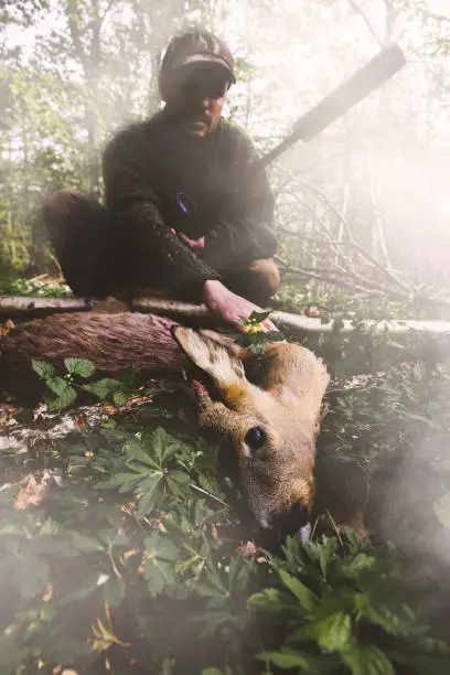 Camouflaged male hunter with rifle and shot roe deer in beautiful forrest in Denmark at summertime. During covid-19 related lockdown from work, more people spend time with their hobbies and pursuing outdoor activities and a healthy lifestyle.