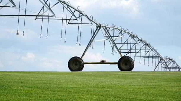 istock Irrigation plant for watering green crops. Modern irrigation system. Circular irrigation of fields. Concept: agriculture or water supply. 1398113391
